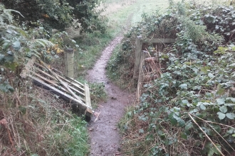 Gate lying damaged at side of path