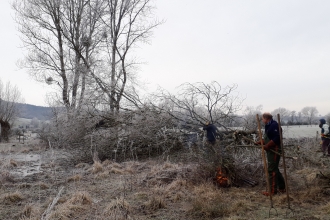 People working in a frosty meadow