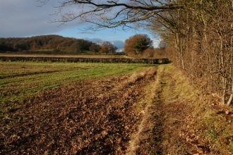 Footpath near Chanstone Court Farm