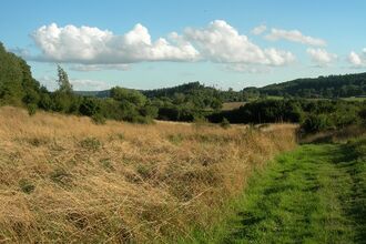 Wessington nature reserve
