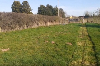 View don a small field with thick hedgerow to the left and mown path down the centre