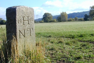 Dole Stone on a meadow