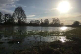 View across flooded field