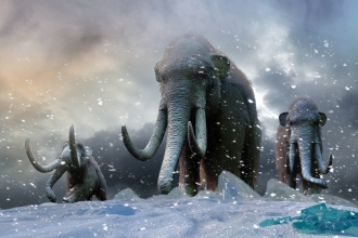 Mammoths illustration 