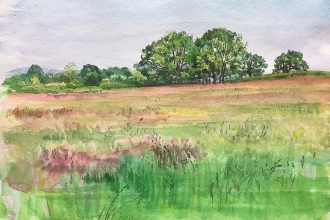 Watercolour picture of a meadow