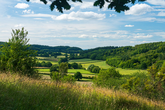 View across landscape with long grass in foreground to fields and woodland beyond