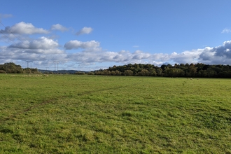View across expanse of grass with woodland on the horizon and blue sky above