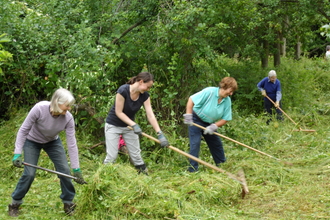 Three women raking long grass in front of trees