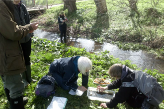 People stood and sat beside a stream looking at things in a white tray