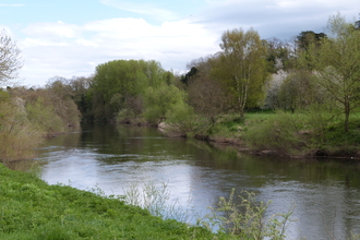 View of wide river with grassy near bank and tree-lined far bank