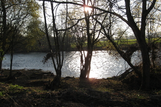 Water seen through dark silhouettes of trees, low sun behind