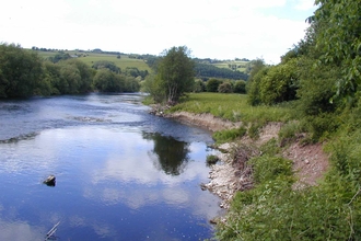 View from above onto wide, calm river with vegetated bankside