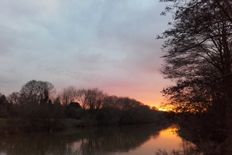 View across wide calm river at sunset with bankside tree on right of image