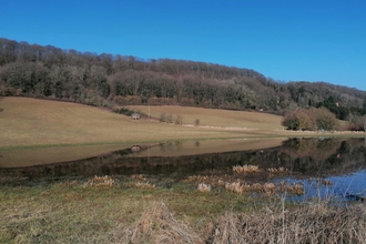 View across landscape with pool in foreground, grassy slope behind, rising to woodland in winter; deep blue sky above