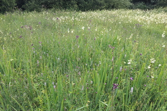 Parish Field nature reserve