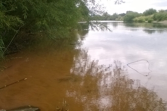 View across brown river with vegetation overhanging to the left