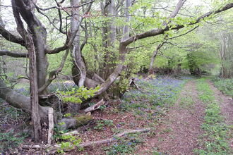 Leeping Stocks nature reserve
