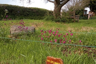 Kenchester Wildflower area