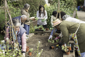 Gardening