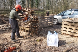 Man in orange safety helmet sawing through a stack of logs