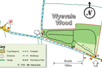 Wyevale nature reserve site map