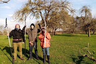 Three people in outdoor clothes holding long pruning tools stood in an orchard