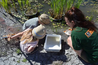 A woman and two children look into a white tray beside a pond