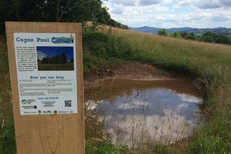 Pond in a sloping field with a sign in front