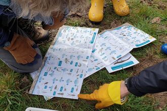 ID charts laid on the ground with a hand pointing to one of the images