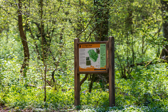 Information board in woodland