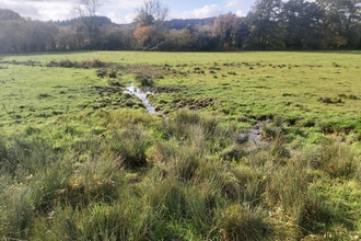 Ail Meadow nature reserve in Winter