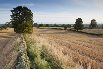 Treescapes Working with farmers and landowners