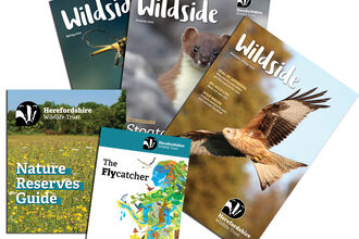 Four magazines/ booklets' covers