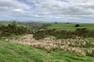 View across a grassland landscape