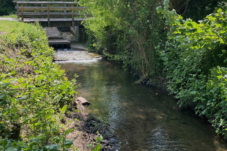 View of a steam with wooden bridge across and verdant banks