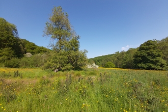 Grassland valley in summer, bordered by wooded slopes