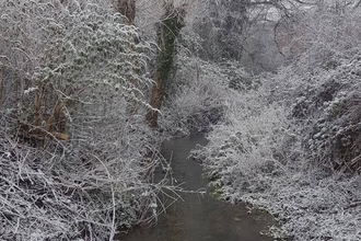 Frosty morning along Eign Brook in Hereford.