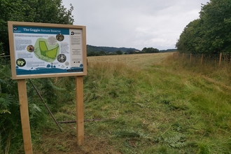 Information board with map at entrance to grassland bordered by trees and hedges