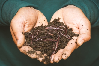 Hands holding soil filled with worms