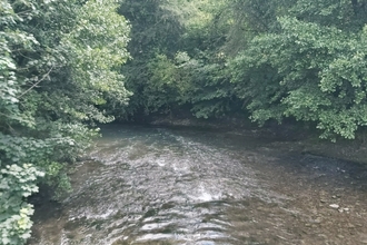 View along shallow river