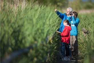 family birdwatching in wetland 