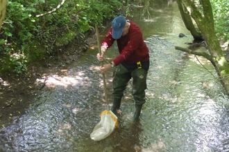 Man stood in stream holding a net down in the water