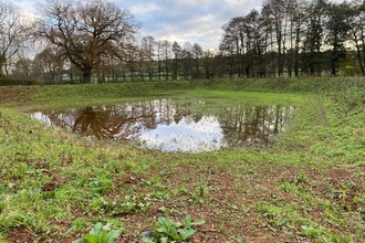 Field pond