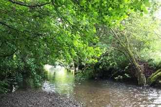 View of river with tree-lined banks