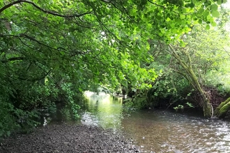 View of river with tree-lined banks