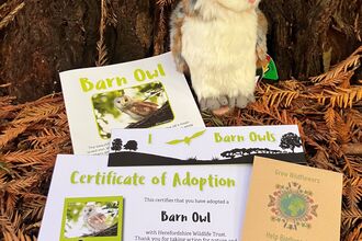 Cuddly owl toy plus leaflets