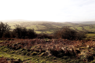 View across autumn landscape 