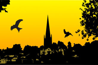 Ross skyline with birds in foreground