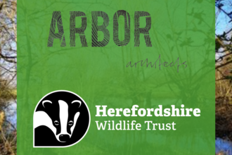 arbor and hwt logo 