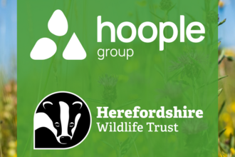 Hoople logo and HWT logo on green background 